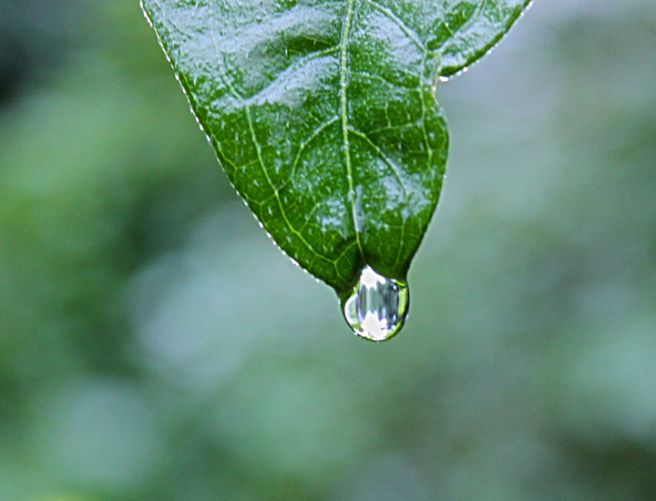 【破解版】永久的网络ddos攻击软件