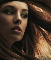 特惠促销的网站攻击工具手机版